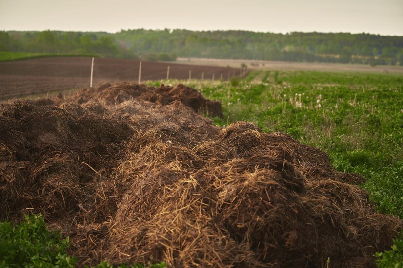 Đầu tư các chế phẩm sinh học