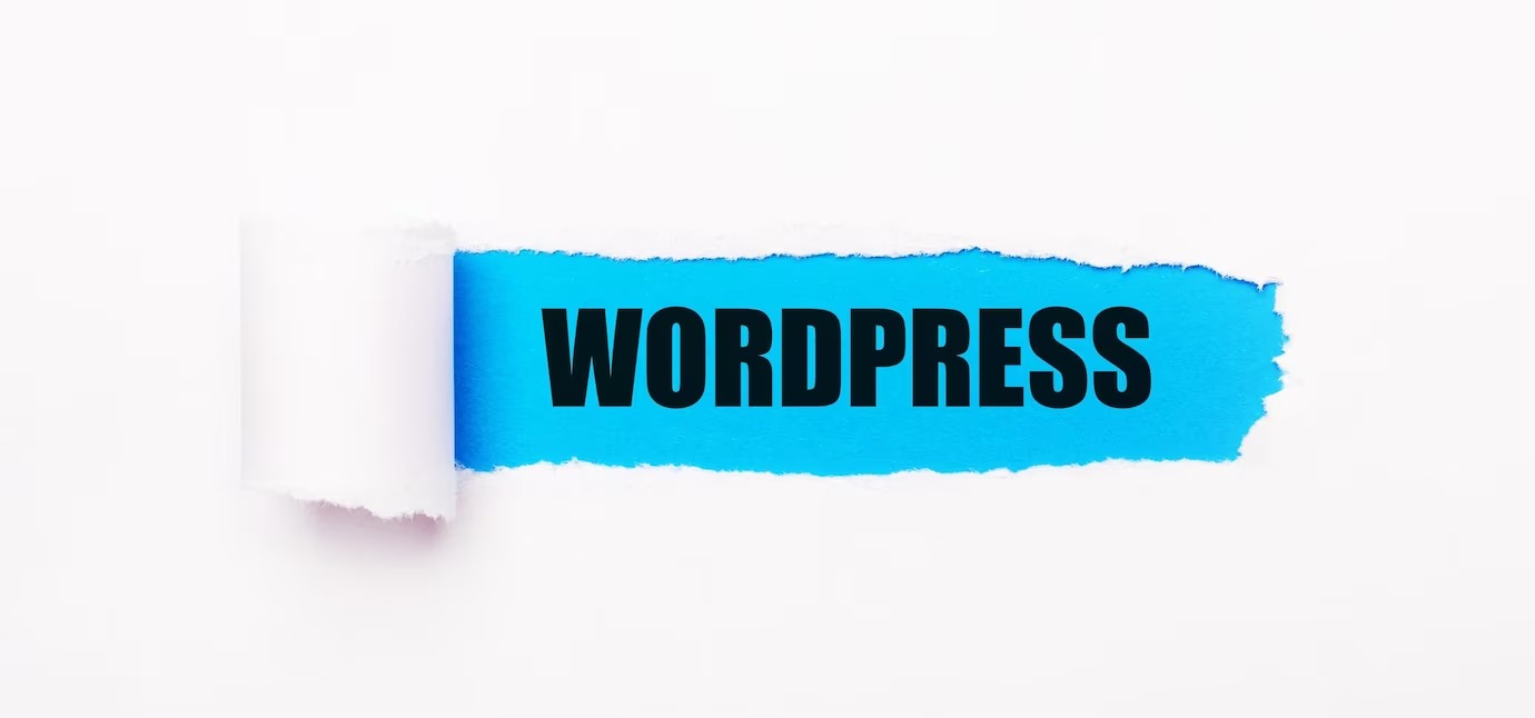 Nền tảng web với WordPress vẫn đang thống trị